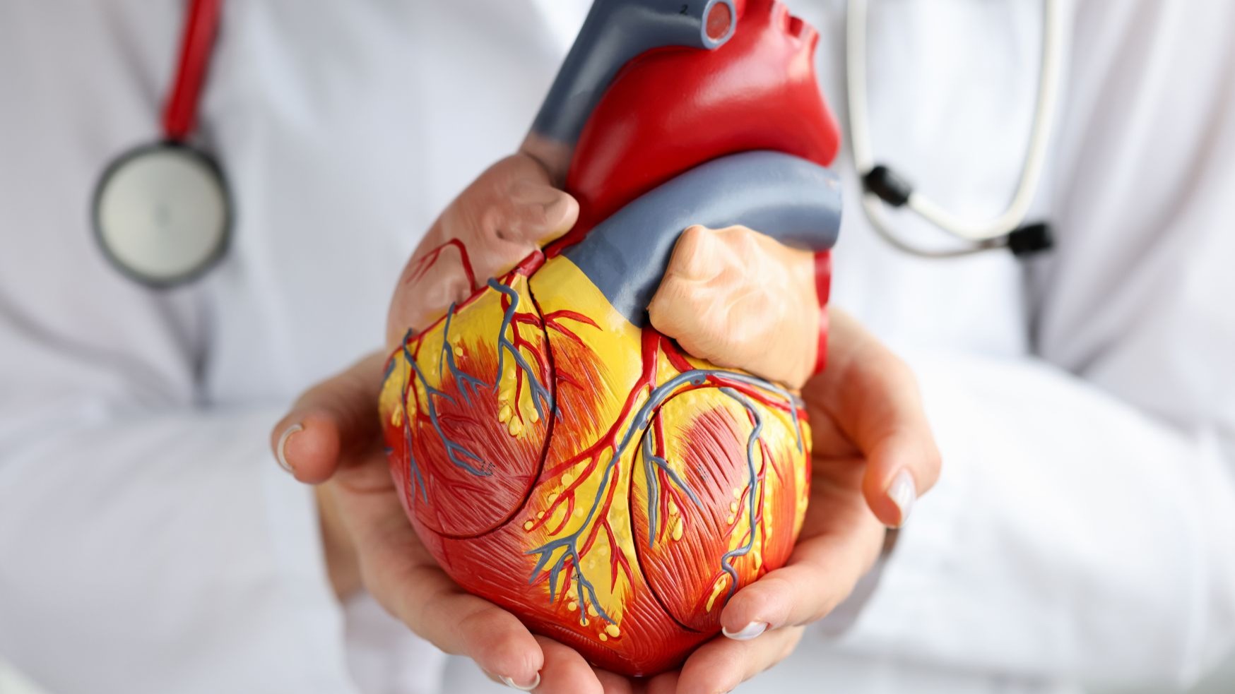 AI 기반 심방세동 진단: 헬스케어 산업의 새로운 기회